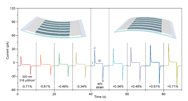 圖表, 表面圖描述已自動生成